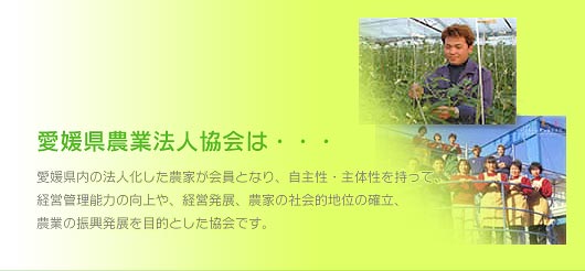 愛媛県農業法人協会は・・・　
愛媛県内の法人化した農家が会員となり、自主性・主体性を持って経営管理能力の向上や、経営発展、農家の社会的地位の確立、農業の振興発展を目的とした協会です。